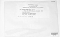 Image Associated With the Occurence